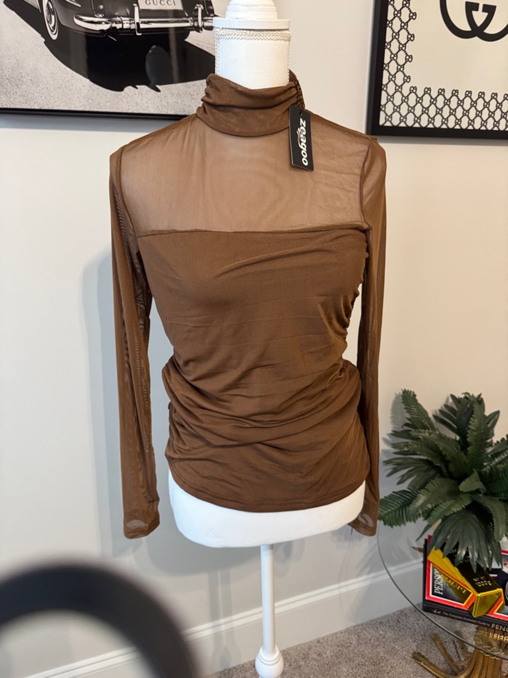 zeagoo Brown Sheer Mock Neck Long Sleeve Top